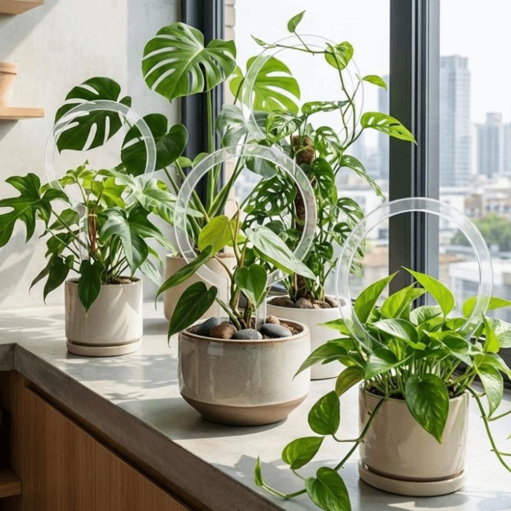 Weather-resistant Acrylic Plant Bracket Transparent Plants Growth Stand  Indoor Plants