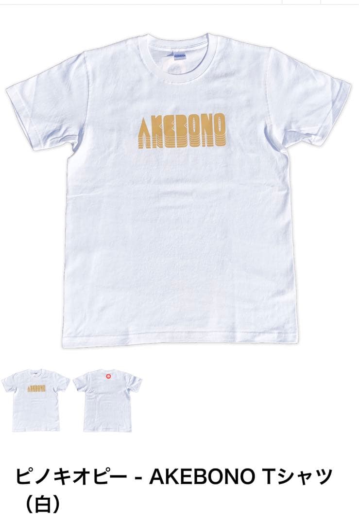 [USED] Unworn Toy Machine tie-dye T-shirt, size L