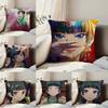 The a-Apothecary Diaries Maomao Pillow Case Anti-dustmite Pillowcase Invisible Zipper Silky Short Plush Sofa Cushion Cover