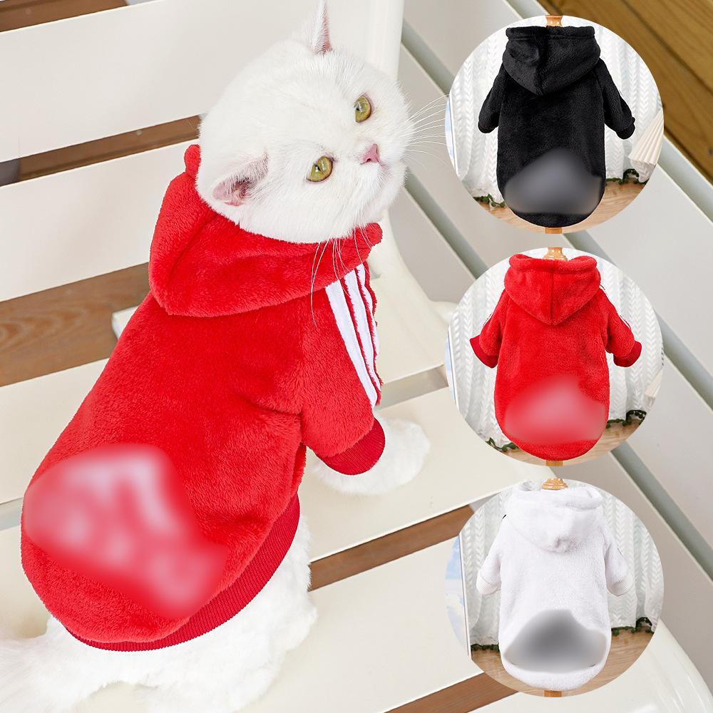 Pet Clothes Flannel Two-legged Alphabet Dou Bi Bear Dog Cat Small Medium Large Dog Dog Supplies Cat Clothing