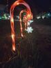 Solar-Powered Christmas Star & Snowflake Ornaments with Candy Cane Light Stakes