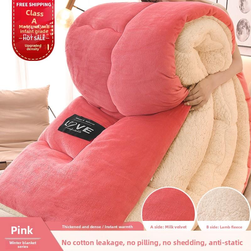 Thiened Lamb Velvet Blanket Double-Sided Coral Velvet Warm Winter Quilt Duvet Core Cotton Cover for Autumn And Winter