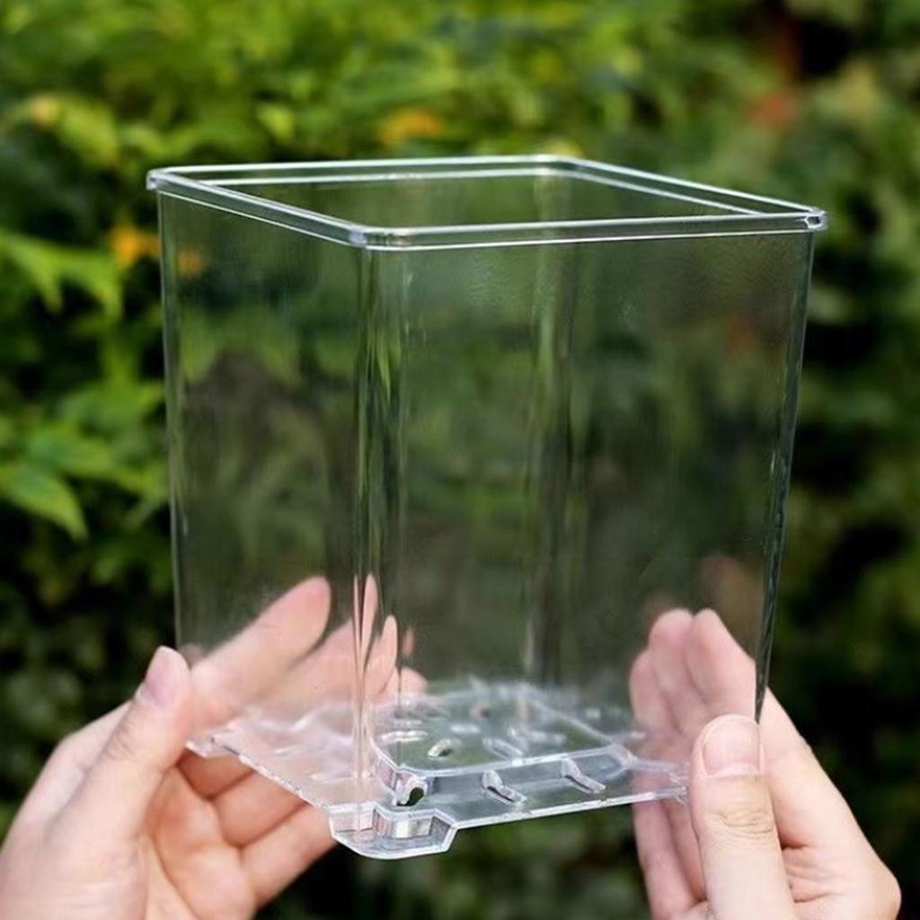 Clear Breathable Plant Container Desktop Ornament Planter Plant Pot Crafts Decors Planter Landscape Crafts