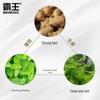 Bawang Plant Essence Ginger Brightening No-Steam Hair Mask