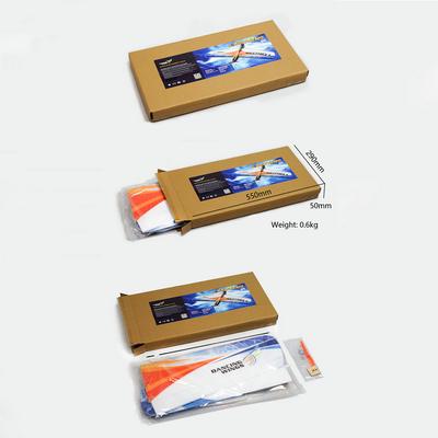 Dancing Wings Hobby E1101 Oświetlenie 1060 mm Rozpiętość skrzydeł EPP Flying Wing RC Samolot Treningowy ZESTAW