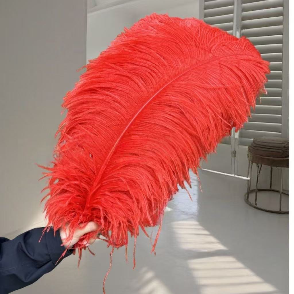 1pcs Ostrich Hair 65-70Cm Photo Feather Wall Wedding Road Guide Decorative Props Colored Feathers