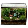 Miniature Rainforest Terrarium: Glass Greenhouse Vase for Succulents and Plants, European American Craft