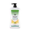 Longliqi Snake Gallbladder & Mugwort Gentle Soothing Shampoo