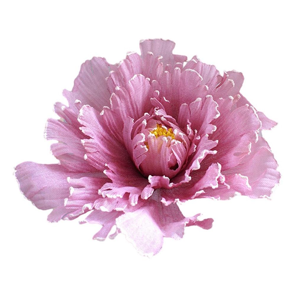 Peony Flower Flower Head Diameter Space Green Stem Website