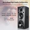 SHILE Professional Dual 15-inch High-Power Stage Speaker System (CN version)