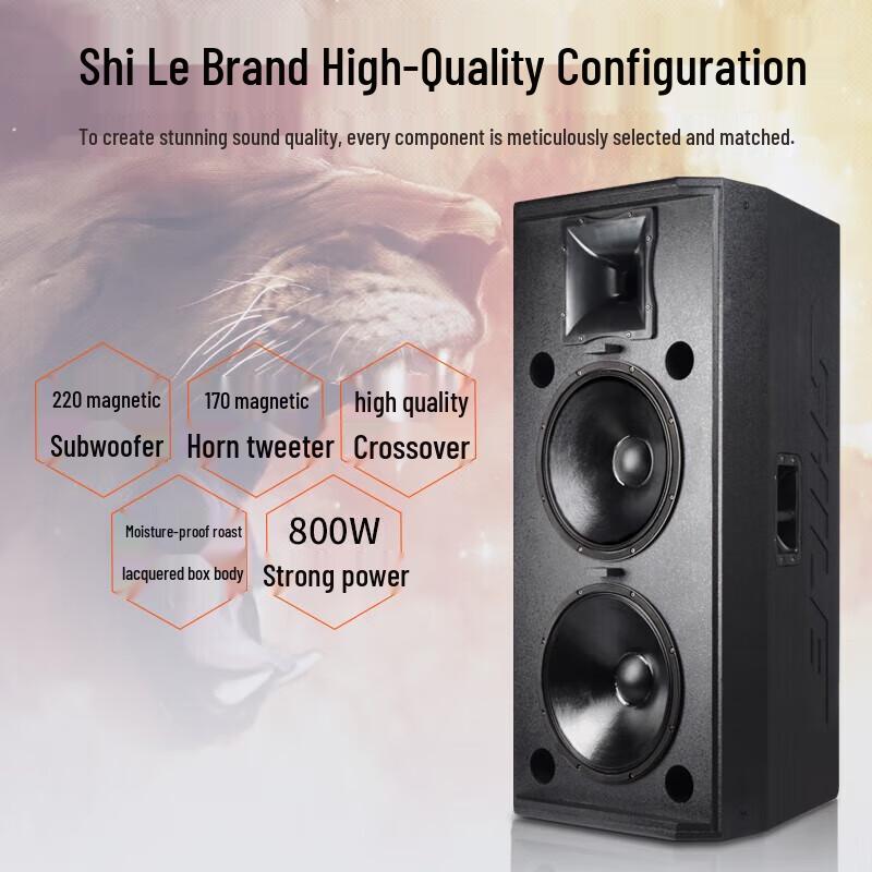 SHILE Professional Dual 15-inch High-Power Stage Speaker System (CN version)