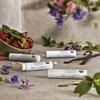 John masters organics lip calm  vanilla  lip balm 4g  x 1