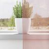 VidaXL Rideaux en voile avec œillets 2 pcs rose 140x225 cm, rideau en filet, rideau transparent, voile de fenêtre, 4102097