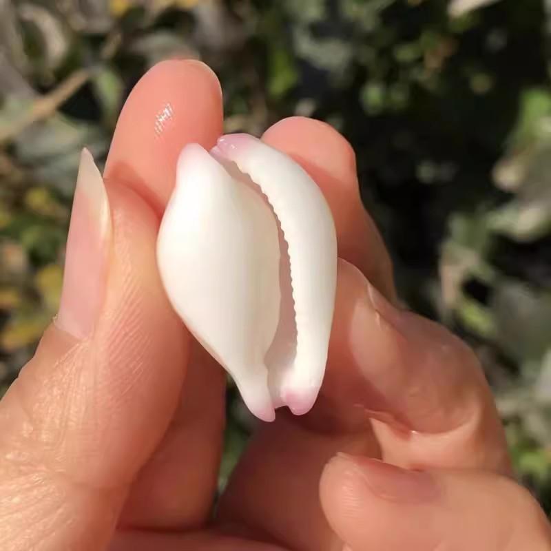 Натуральные раковины, белые нефритовые кролики-улитки, креативные домашние аксессуары, украшения, ландшафтный дизайн аквариума, DIY, Коллекция подарков