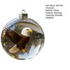 Bird Christmas Ball Ornament Shatterproof Plastic Clear Ball Ornament with Lifelike Birds Holiday Hanging Baubles for Xmas Tree Decor