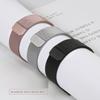 Toepasbare Magnetische Milanese Band voor Apple Watch Series 8/7/6/SE/5/4/3/2 en iWatch
