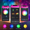 Wi-Fi BT Smart USB Copper Wire Light LEDs String Light 16 Million Color App Voice Control RGB