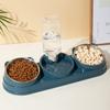 The Double Cat Bowl with A Slanted Mouth Is Equipped with An Automatic Drinking and Eating Basin To Prevent It From Being Knocked Over