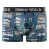 Set mit 4 Jurassic Kinderboxershorts