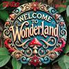 Retro Metal Sign Welcome To Wonderland Iron Plate Farmhouse Wall Decor