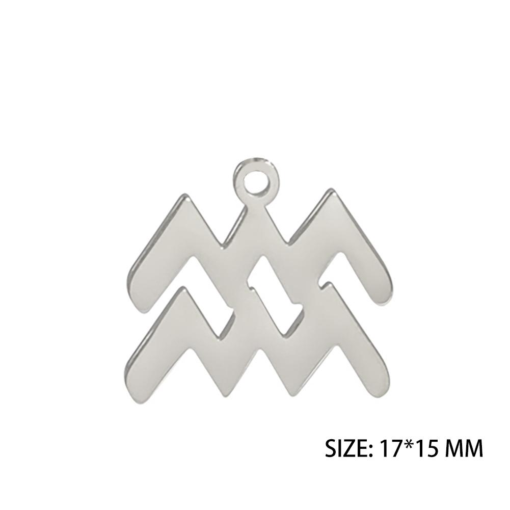12pcs/lot Stainless Steel Zodiac Charms Horoscope Astrological Sign DIY Pendant for Necklace Bracelet Jewelry Making