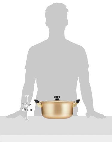 Hokuriku Aluminum 26cm Double-Handled Pot [For Gas Stove Only] Lightweight, Pure Oxalic Acid, Flavorful, Made In Japan