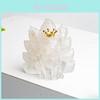 Natural Crystal Resin Crown Nine Tails Fox Desk Ornament For Home Office Decor Gift