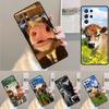 Funny Cow Face phone case Cover For Samsung Galaxy S24 S25 Ultra S21 S22 Ultra S10E Note 10 Plus Note 20 FE S23