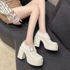 Platform loafers women's spring and autumn new models, small thick heels, single shoes, wind and small leather shoes