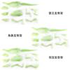 Archaeology Dinosaur Fossil Skeleton Assembly Kit, Glow in Dark T-Rex Fluorescent Model
