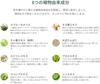 Melaleuca Body Shampoo, Green Tea Scent, 500 ml, with pump.