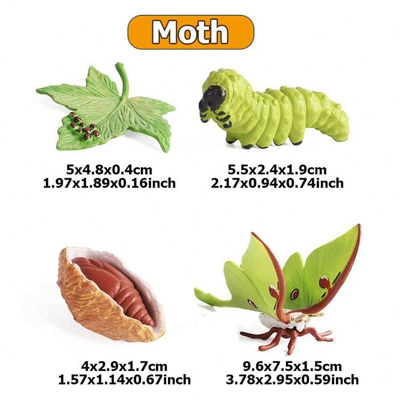 

1set Simulation Life Cycle Animals Model Children Prank Toy Insect Plant Snail Moth Seed Growth Cycle Trick Props Toy TMZ as shown in figure