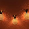 Battery Powered Portable Holiday Decoration 10LED