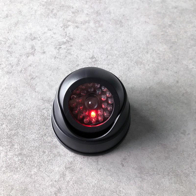 Simulated Snail Camera: Realistic Fake Monitoring Model