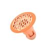 Toilet Insect-proof Anti-odor Deodorant Floor Drain Cover Sewer Deodorant Floor Drain Core Household Kitchen Toilet Bathroom