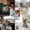 Giyim ve ayakkabı – Köpekler İçin Tulum