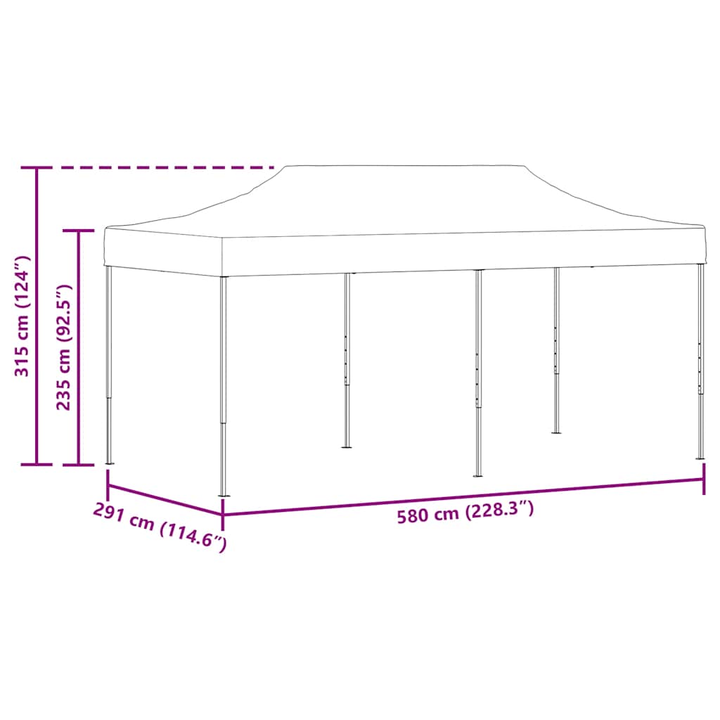 Yiwydaa Pop-up Feesttent Opvouwbaar 3 X 6 M Antraciet