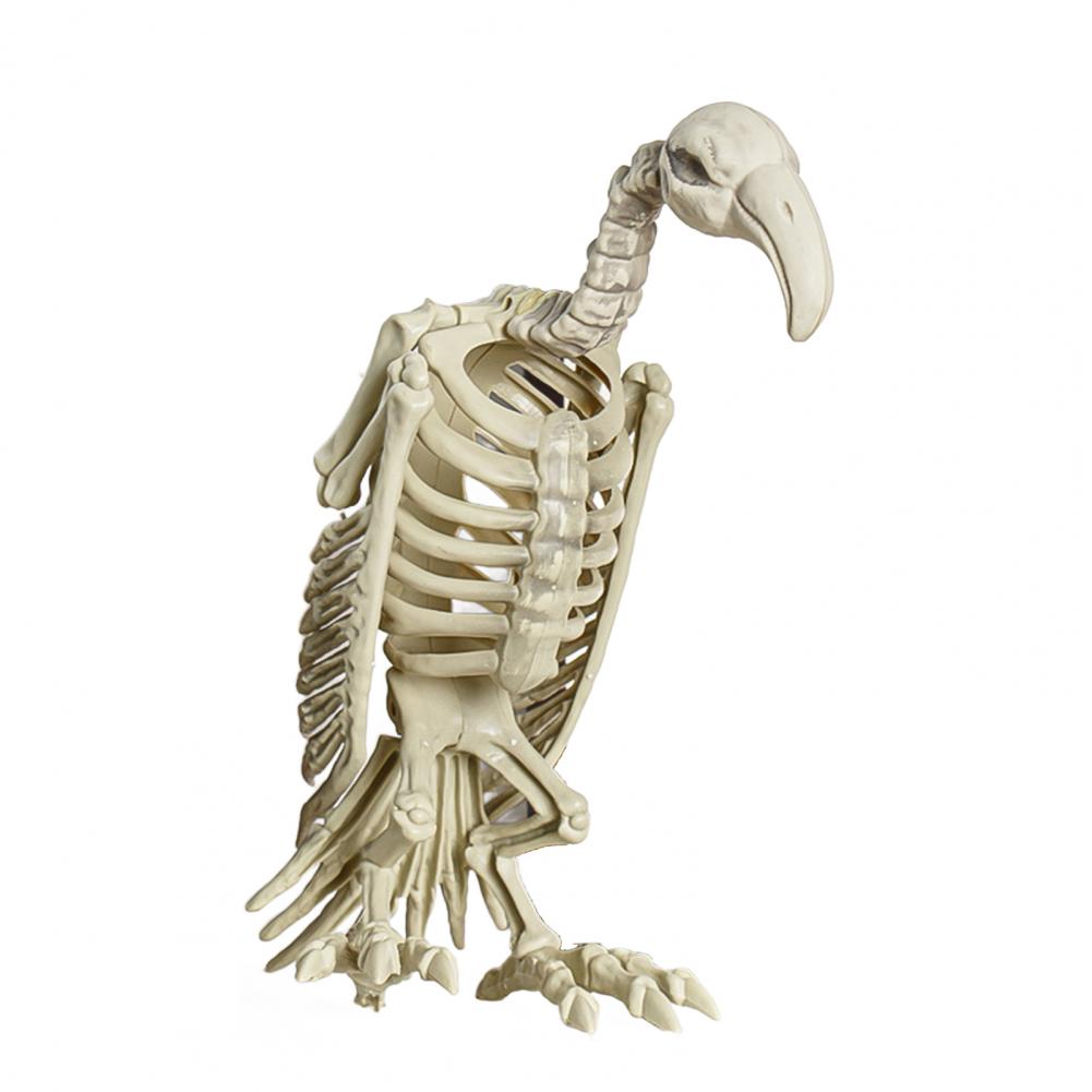 Long Lasting Halloween Prop Durable Plastic Skeleton Halloween Skeleton Decor for Courtyard Graveyard Cat Dog Bird Rat Goat Head