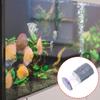 Peixes e animais aquáticos – Manutenção de aquário