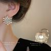 Silver Needle Diamond Flower Geometric Earrings Cold Wind Atmospheric Fashion Stud Earrings Premium Niche Fashion Earrings