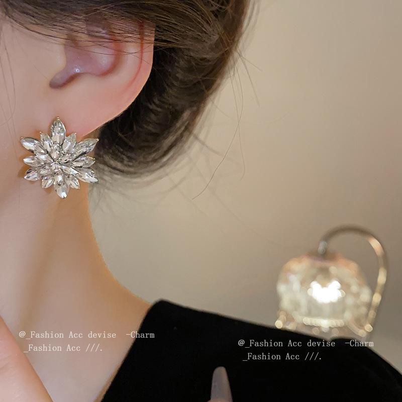 Silver Needle Diamond Flower Geometric Earrings Cold Wind Atmospheric Fashion Stud Earrings Premium Niche Fashion Earrings