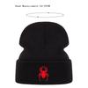 Unisex Spider Embroidery Beanies Hat Autumn Winter Warm Knit Cap for Women Men Travel Vacation Hats Caps