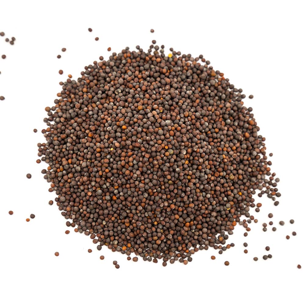 Gorczyca czarna ziarno 200g Premium