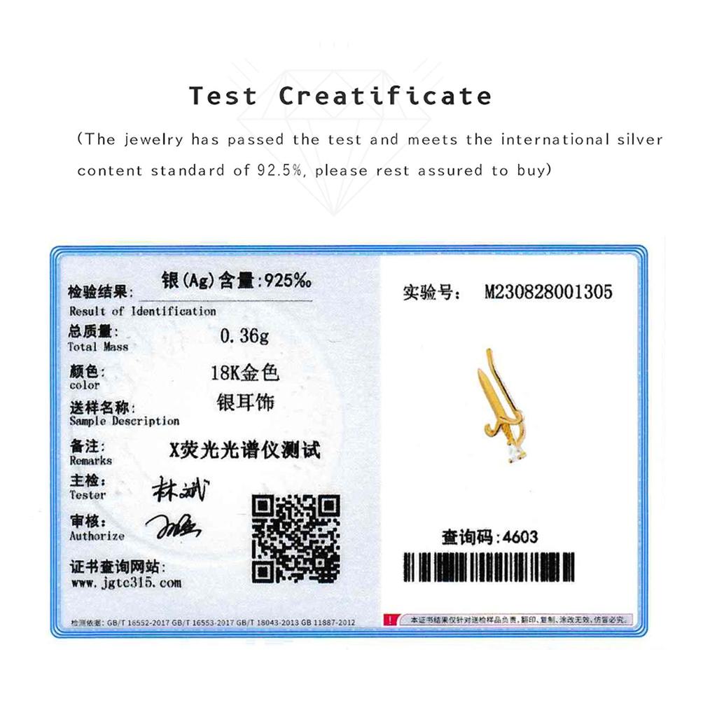 ANDYWEN 925 Sterlingsilber Gold Crush Zirkon Ohrring Liebe Stecker Ohrring Climber Frauen Feiner Schmuck 2023 Kristall Schlanker Schmuck