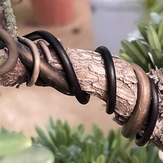 Bonsai Training Aluminum Wire 2.0mm Coated Aluminum Wire 16Ft/33Ft Bonsai Tree Wire for Fine Trunk And Branch Control