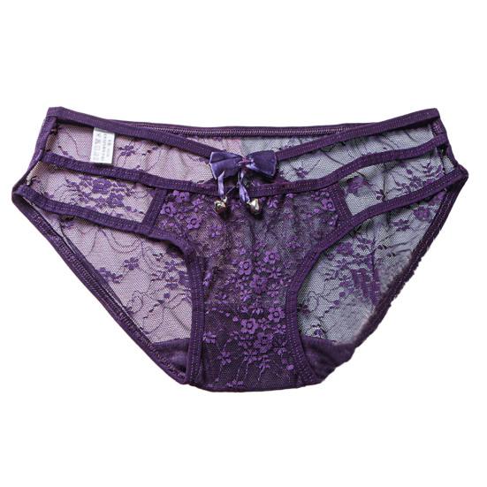 Sexy Embroidery Flower Lace Briefs See-through Solid Color Bowknot Bell Decor