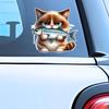 Funny Cats Eat Fish Car Stickers Waterproof Vinyl Decals Auto Body Window Bumper Decor Motorcycle Helmet Stickers TM186