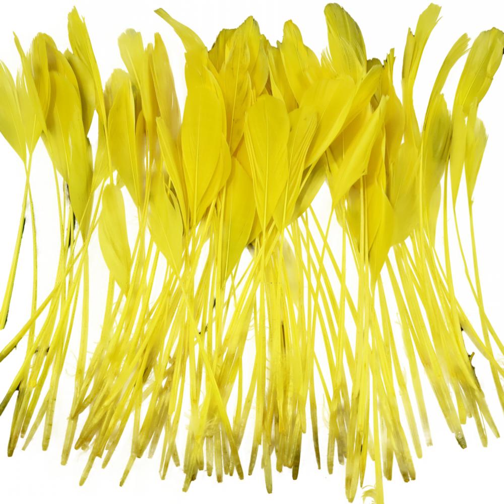 FeatherYellow Feathers for Crafts, 31 Styles Natural Pheasant, Rooster, Duck Feathers Bulk for Costume DIY, Fly Tying,Party Decoration