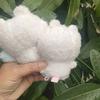 Yiji Super Niedliches Flugsaurier Pfirsich Maus Plüschtier Magnetischer Magnetpuppe Kleine Puppe Kühlschrankmagnet Momoka Puppe Mädchen Geschenk
