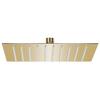 VidaXL Rain Shower Head Stainless Steel 20x20 Cm Square Golden